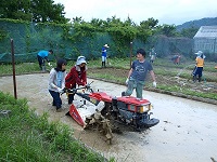 2014 paddy field shirokaki4.jpg(38411 byte)